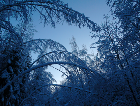 Winter An den Saimaaseen