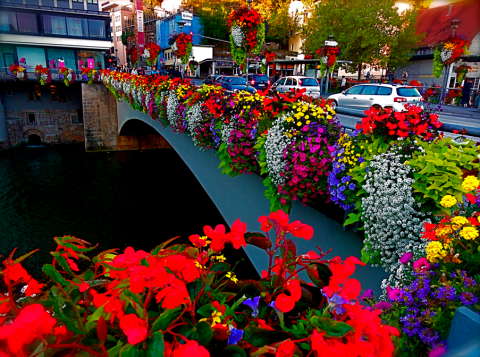 Blumenpracht an der Eberhardsbrücke Tübingen