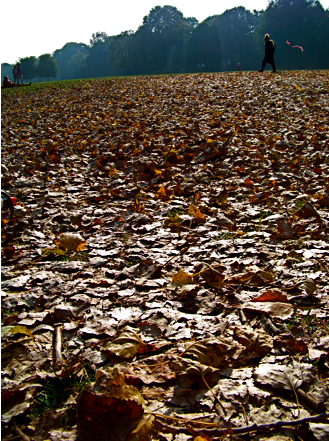 Am Eisbachufer im Herbst