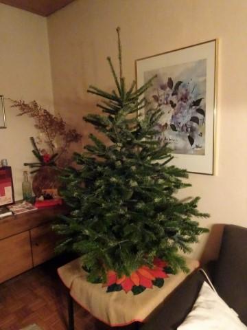 Der Überruhrer Weihnachtsbaum 2021. Selbst mit ausgewählt.