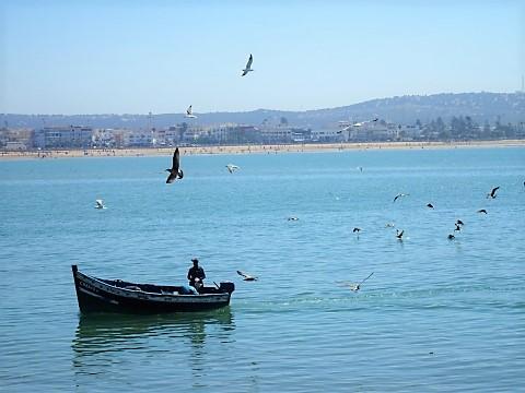 Am Fischereihafen von Essaouira