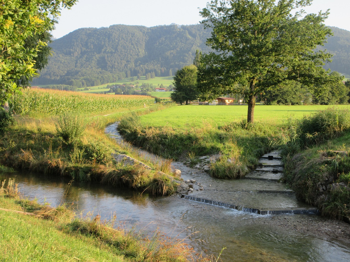 Zusammenfluss vom Bernauer Bach, Berghamer Bach zum Bernauer Achen