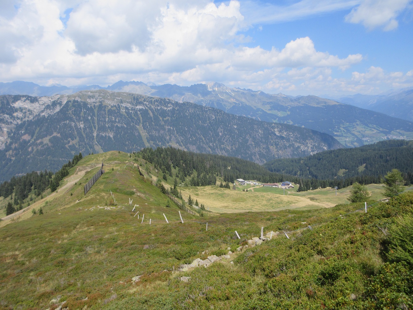 Blick auf die Kalcheralm in Ratschings
