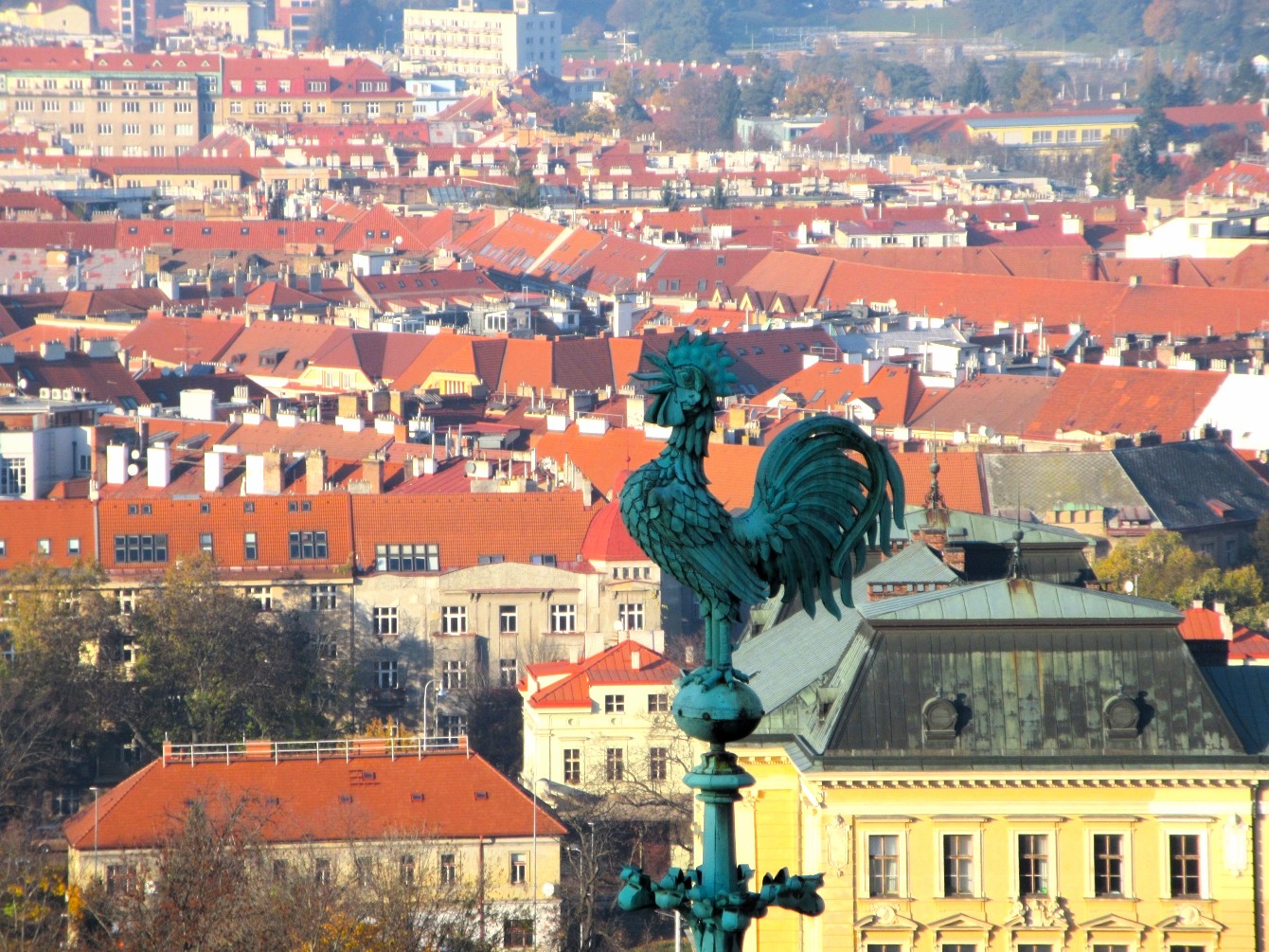 Kathedralenhahn St.Vitus & das zweitausendsiebenhundertdreiundsiebzigste Gedicht