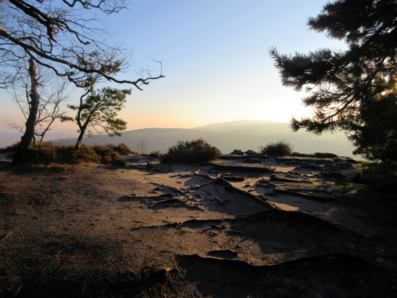 Tyssaer Wände & das zweitausendsiebenhundertneunundsechzigste Gedicht
