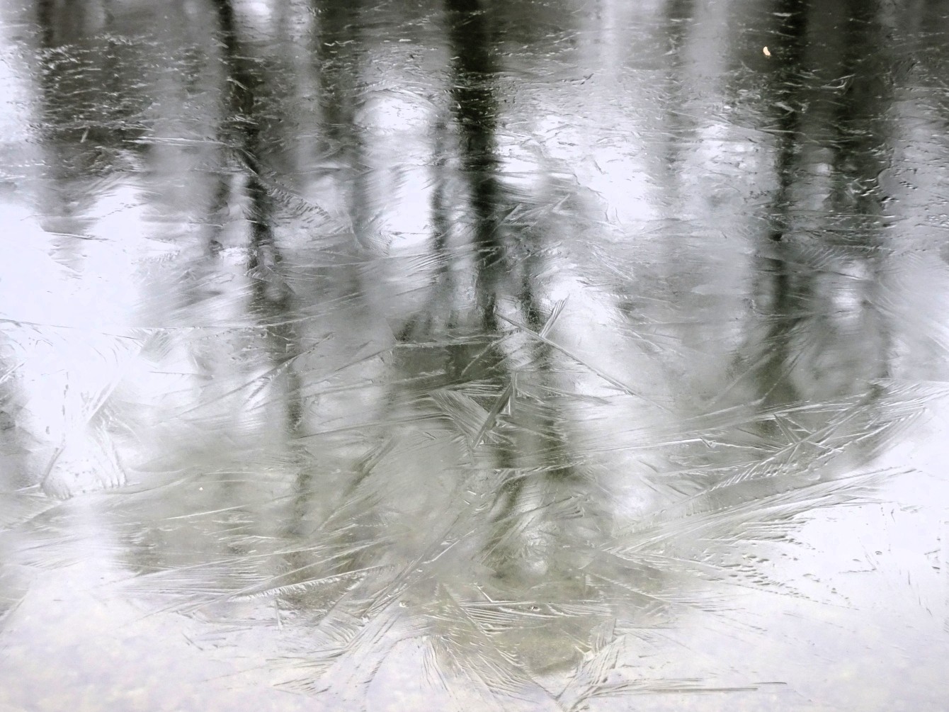 Erstes Eis auf dem Nymphenburger Kanal