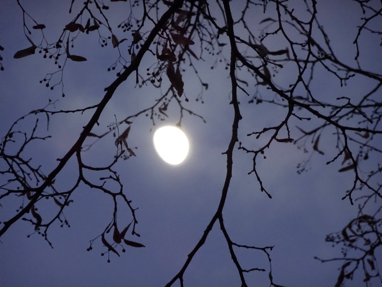 Vorletzter Mond & das zweitausendsiebenhundertachtundneunzigste Gedicht