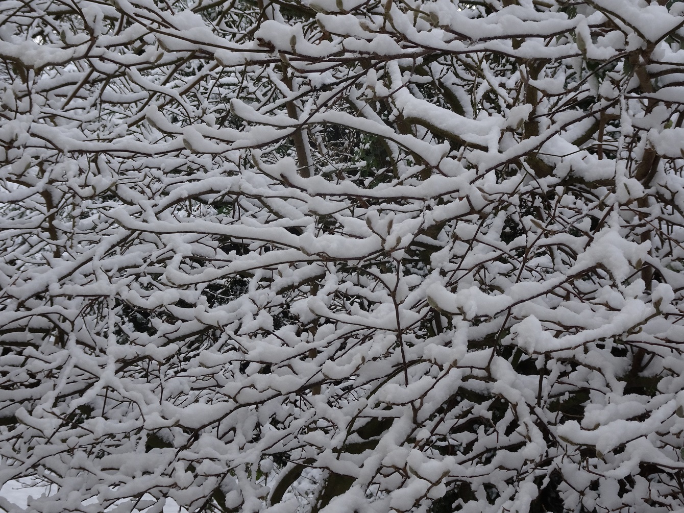 Zweiter Wintereinbruch & das zweitausendachthundertvierte Gedicht