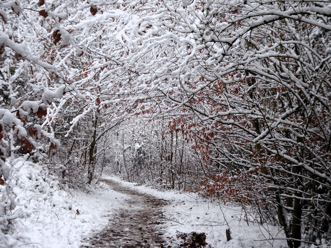 Neujahrsschnee & das zweitausendsiebenhundertneunundneunzigste Gedicht