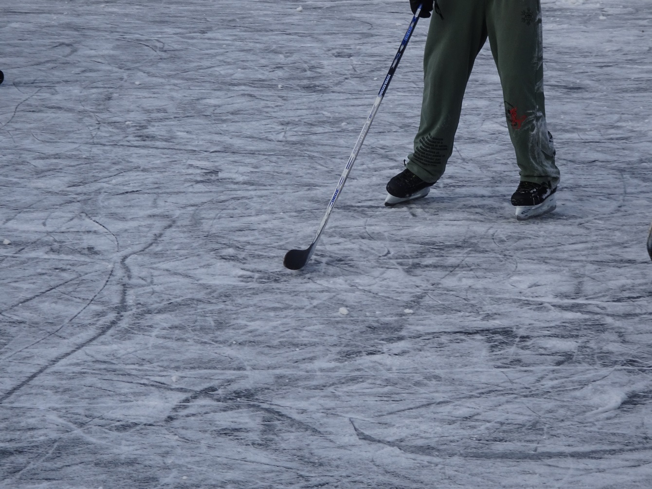 Nymphenburger Schlosskanal & das zweitausendachthundertdritte Gedicht