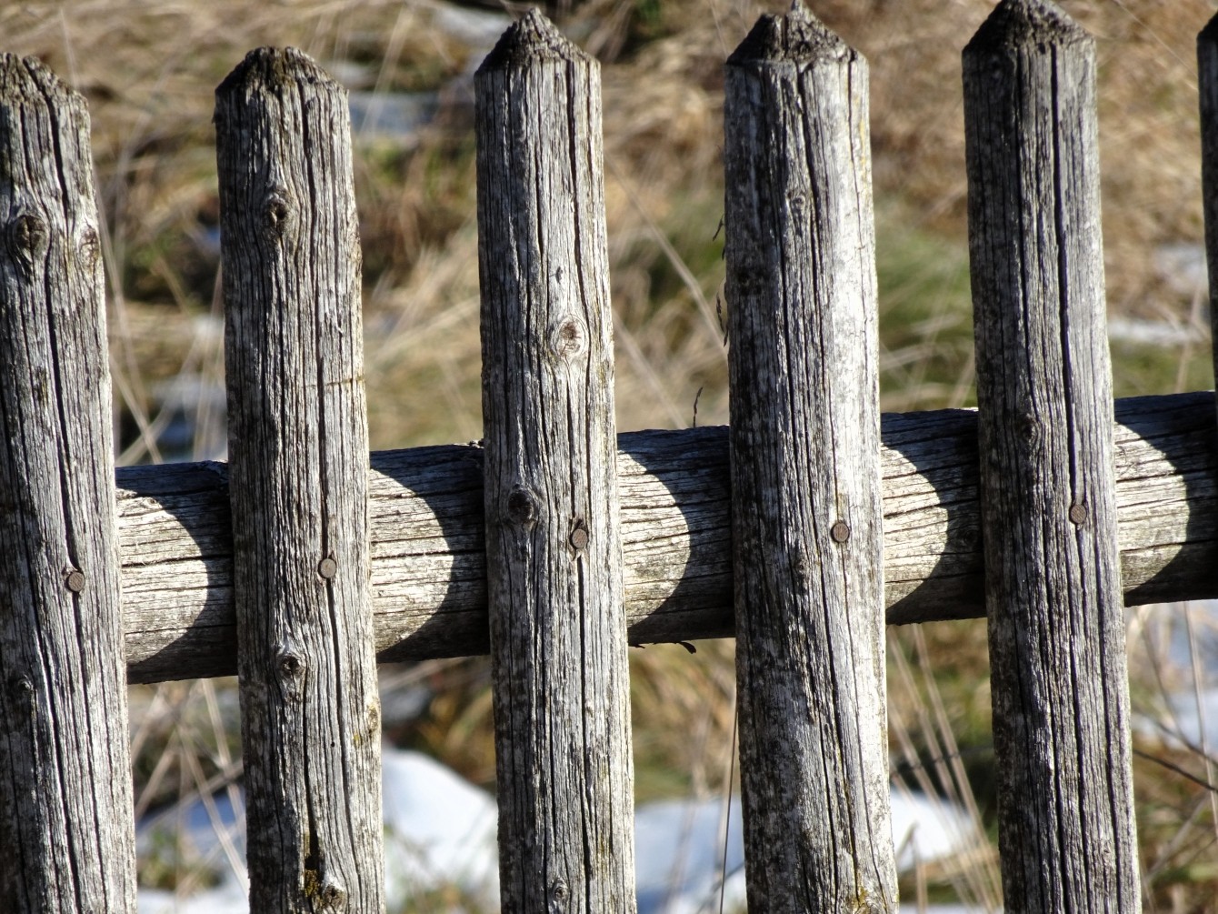 Irschenhausen & das zweitausendachthundertsiebte Gedicht