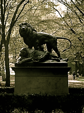 Im Tiergarten Berlin