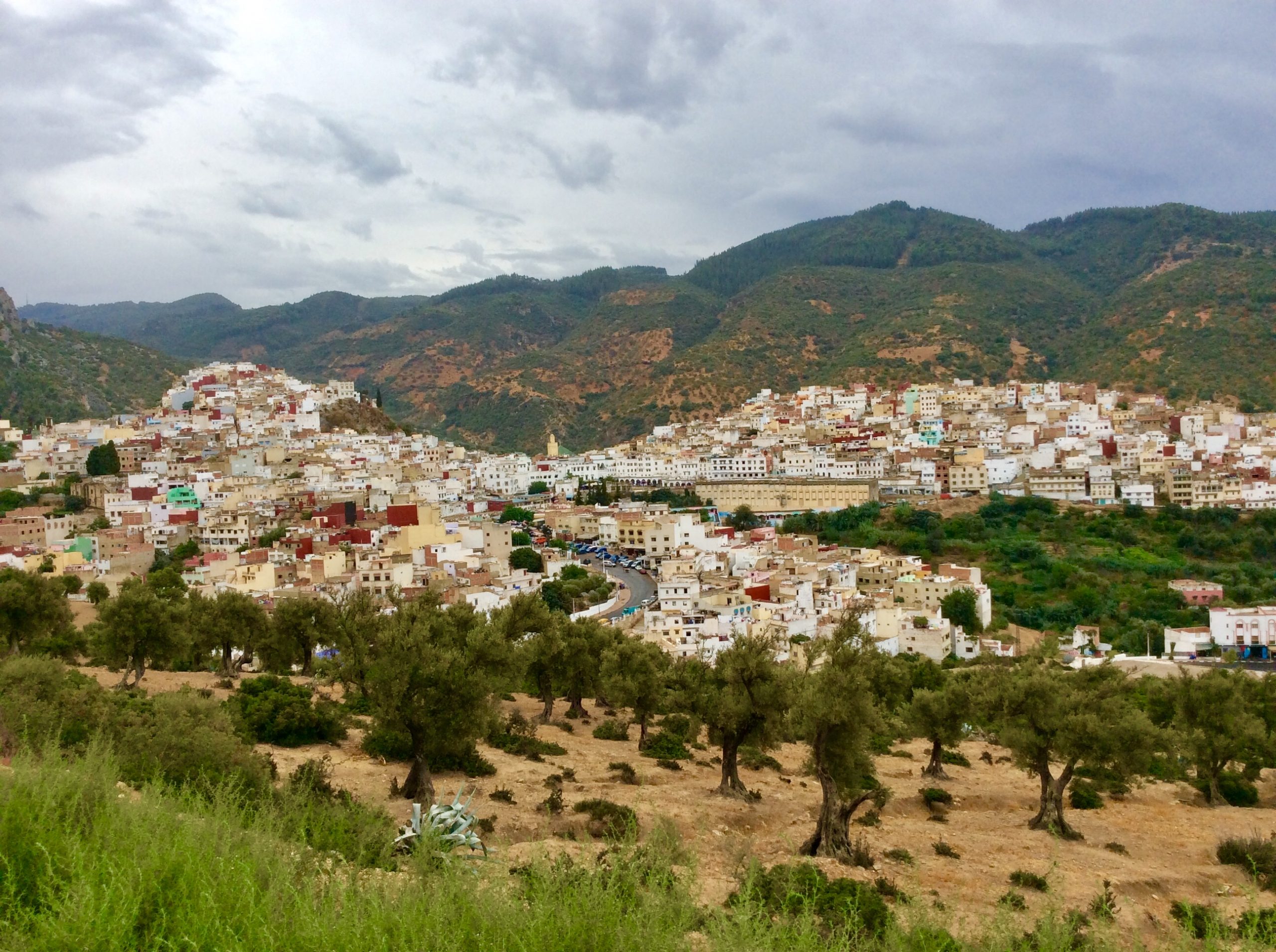 Blick auf Moulay Idris, heilige Stadt