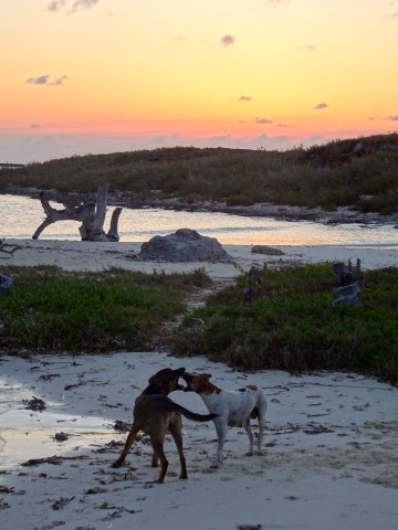 Am Strand von Cayo Santa Maria