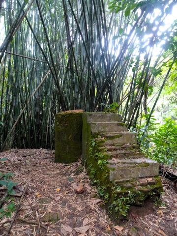 Im Parque Estadual der Ilha Grande