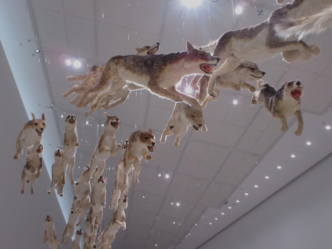 Unter Wölfen & das zweitausendsiebenhunderteinundsechzigste Gedicht