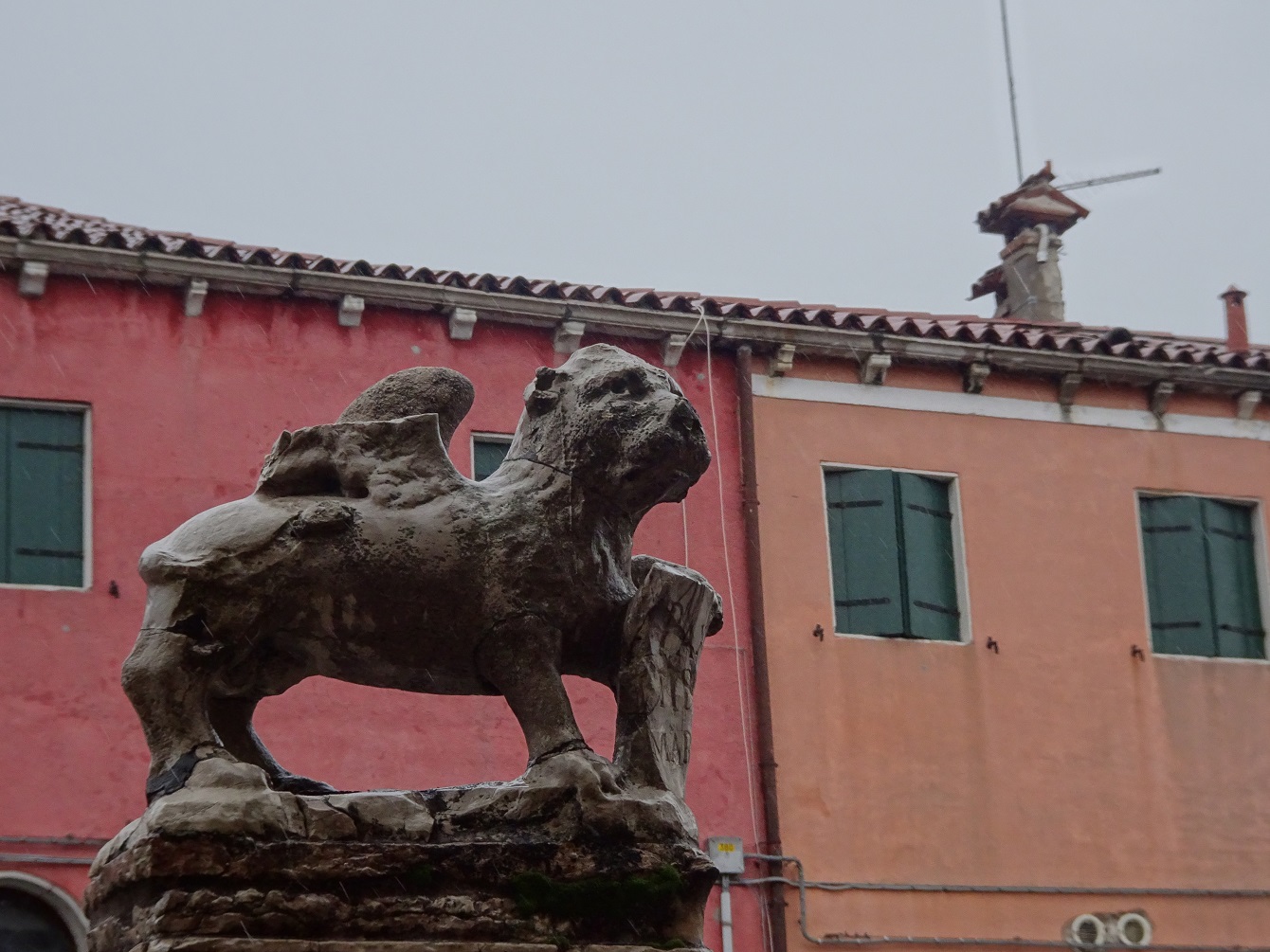 Alter Löwe & das zweitausendachthundertfünfunddreißigste Gedicht