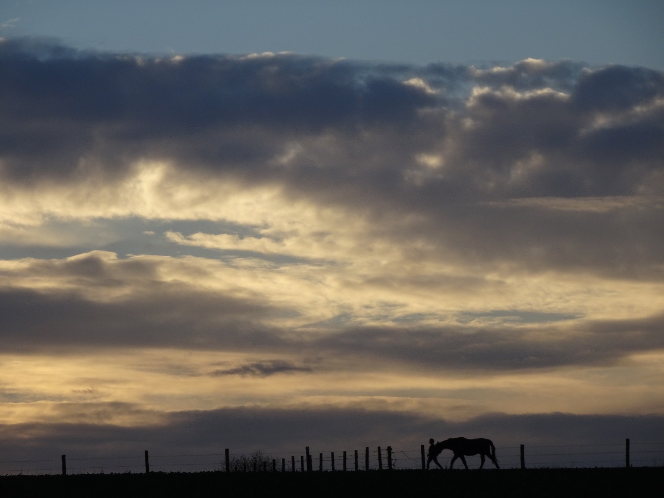 Schuir & das zweitausendachthunderteinunddreißigste Gedicht