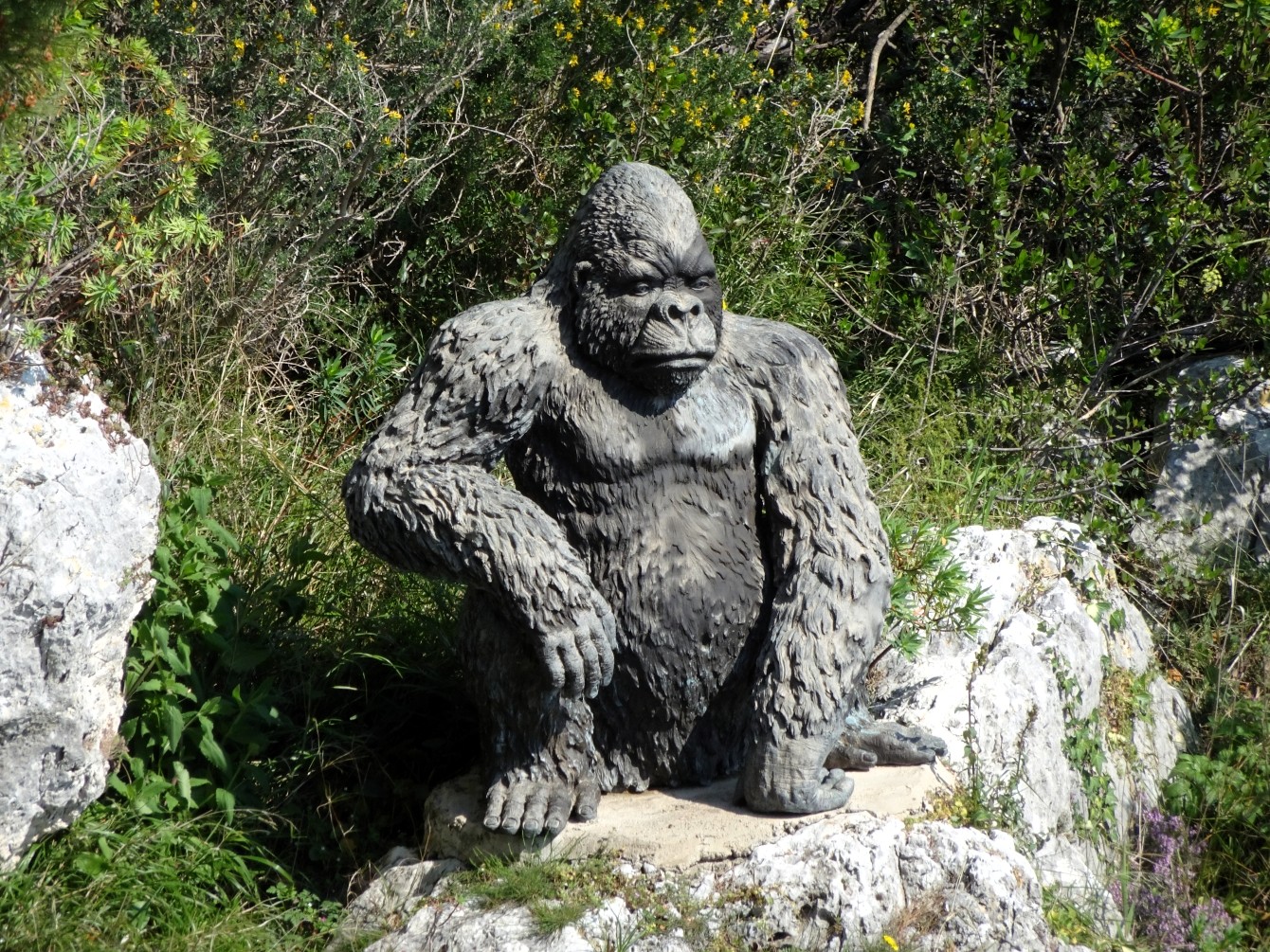 Èze-Gorilla & das zweitausendachthundertneunundsechzigste Gedicht