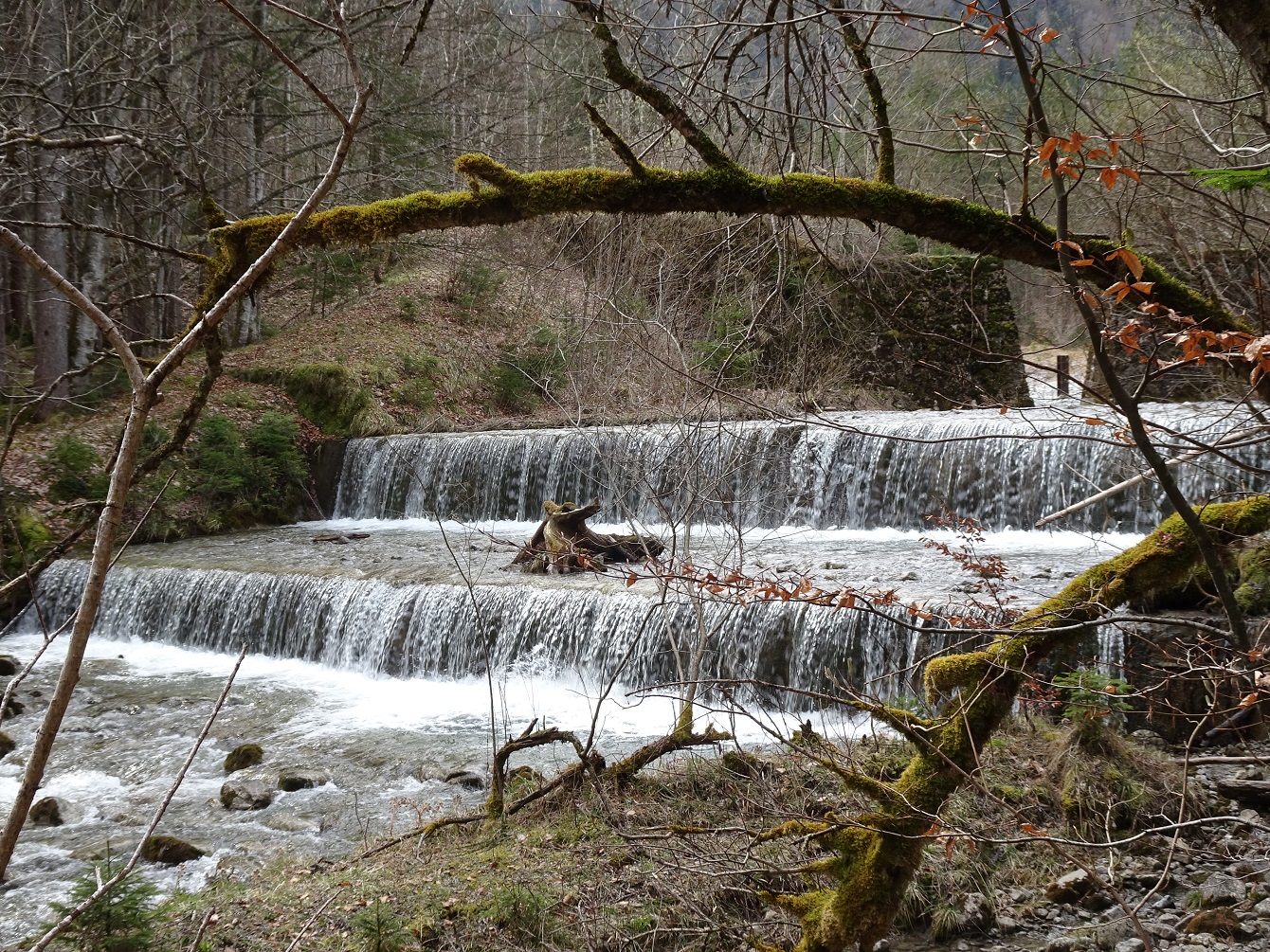 Alpbach Osterhofen & das zweitausendachthundertzweiundsiebzigste Gedicht