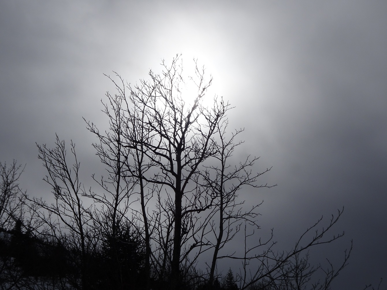 Gipfelwipfel & das zweitausendachthundertvierundsiebzigste Gedicht
