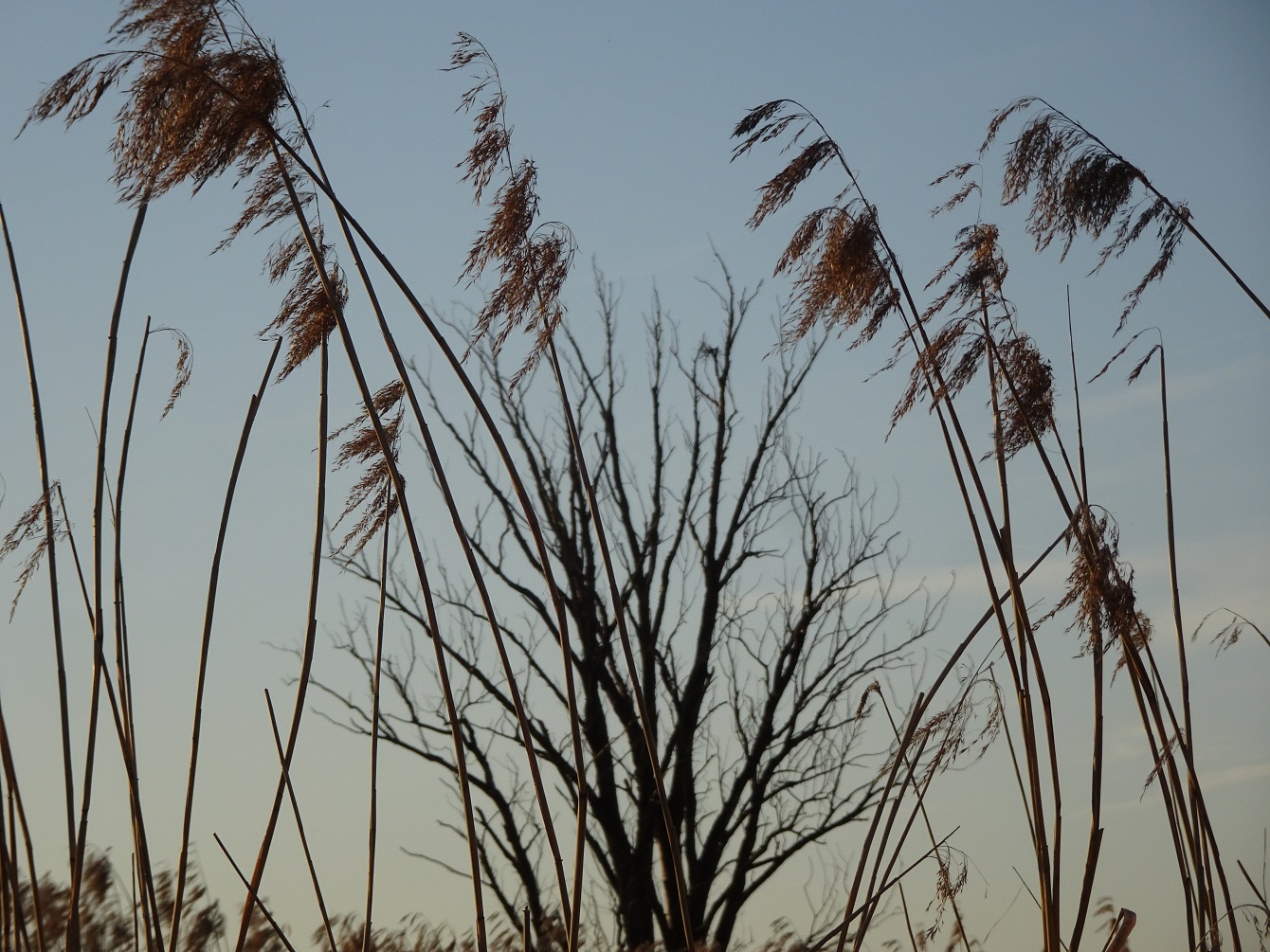 Chiemseeufer & das zweitausendachthundertfünfundsiebzigste Gedicht