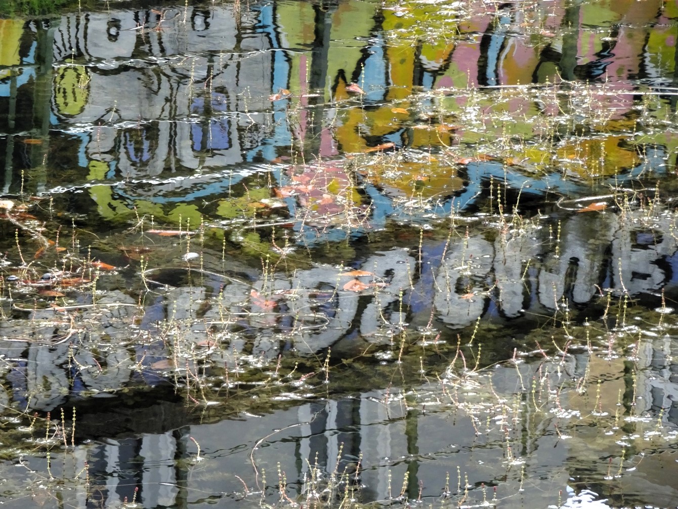 Mixed Media & das zweitausendneunhundertneunundzwanzigste Gedicht